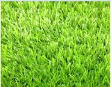 landscape Grass VT Jade Tri-color